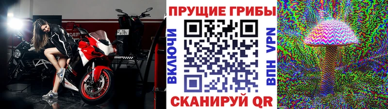 Купить где  Починок  Галлюциногенные грибы прущие грибы 